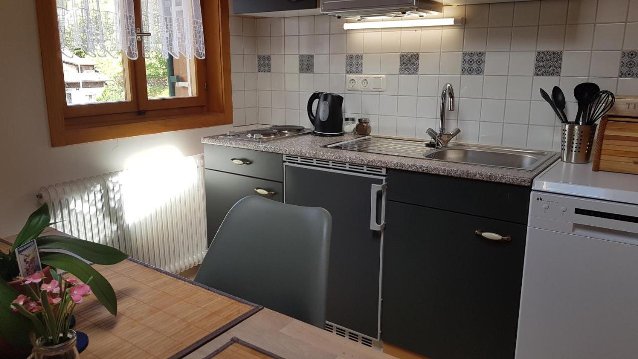 Ferienwohnung Apres Ski Шрунс Екстер'єр фото